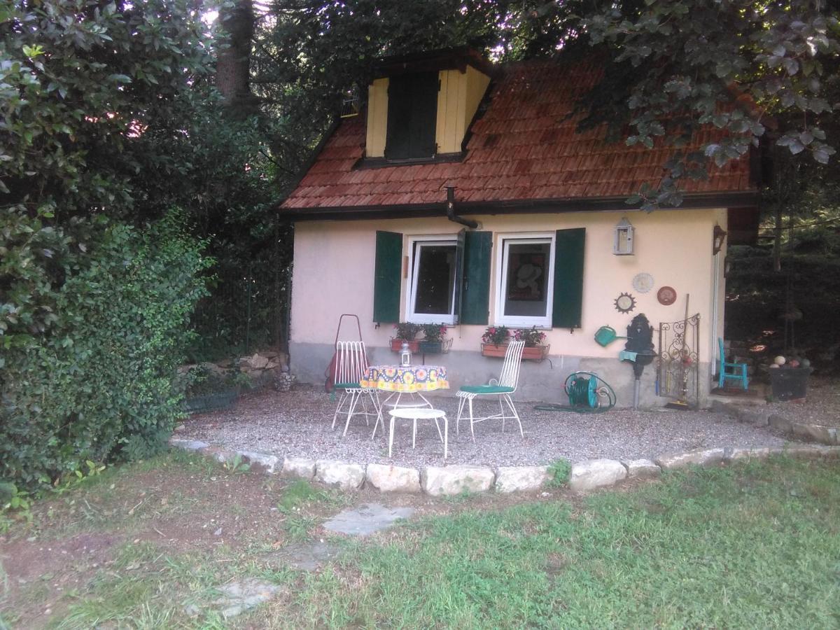 Cottage Sotto Il Faggio Centenario Амено Экстерьер фото