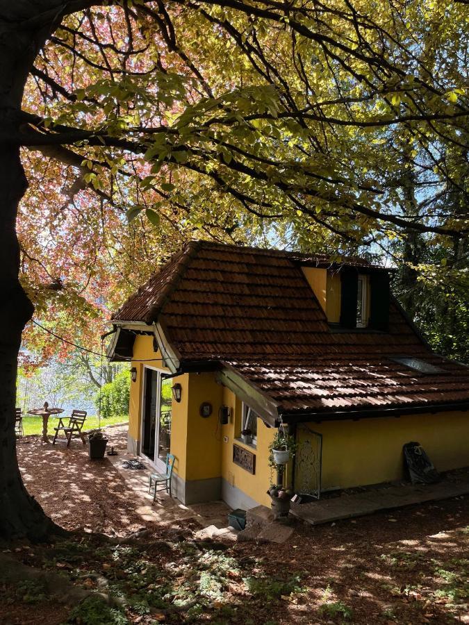 Cottage Sotto Il Faggio Centenario Амено Экстерьер фото